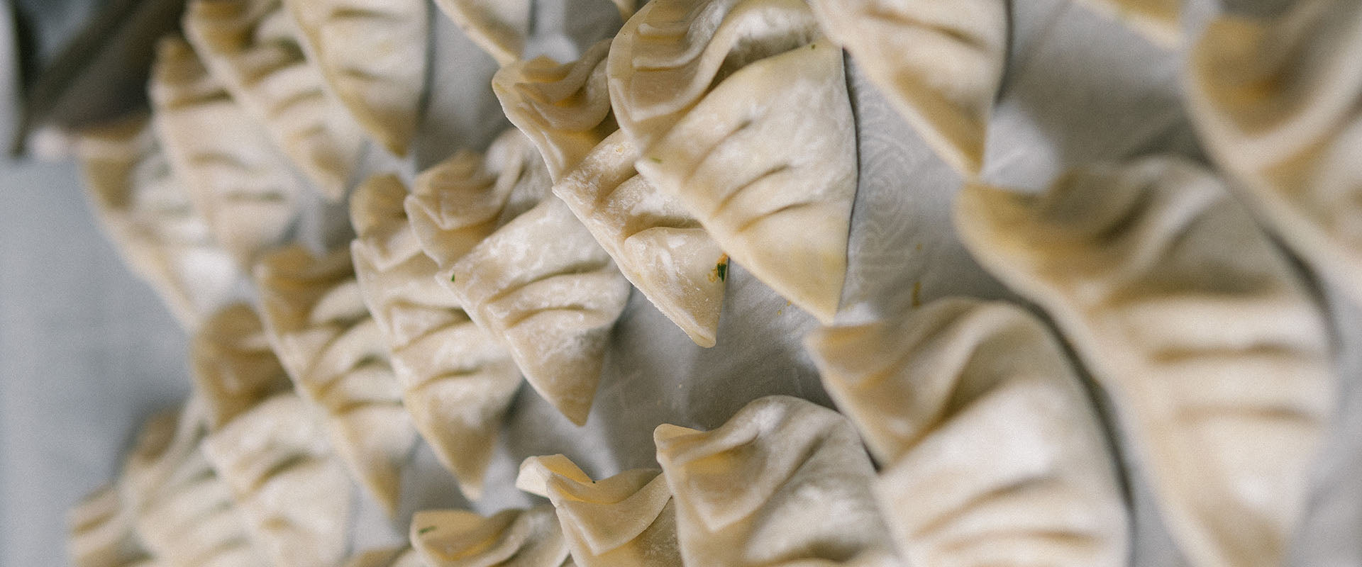 The Delicious World of Dumplings